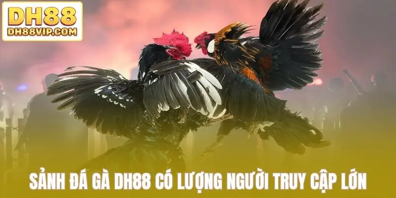 Sảnh đá gà DH88 có lượng người truy cập lớn